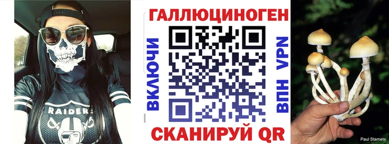 купить   Мамоново  kraken tor  Галлюциногенные грибы Psilocybe 